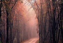 “古巴32名军人在委内瑞拉英勇牺牲，缅怀英雄壮烈事迹”