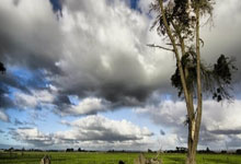 罗启聪被捕：现场查获7.9公斤可卡因震惊警方