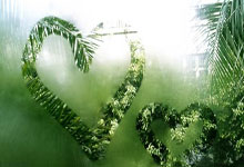 “朝鲜强烈谴责美国对委内瑞拉实施强权政治”