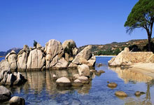 国家体育总局王明晏被查：揭开体育系统反腐新篇章